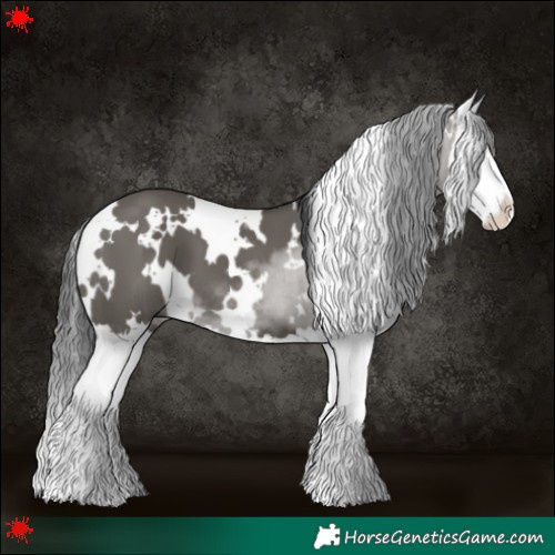 Horse Color:White Spotted Grullo Splash 