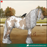 Horse Color:White Spotted Silver Grullo 