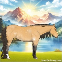 Horse Color:Buckskin 