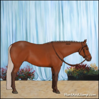 Horse Color:Silver Brown 