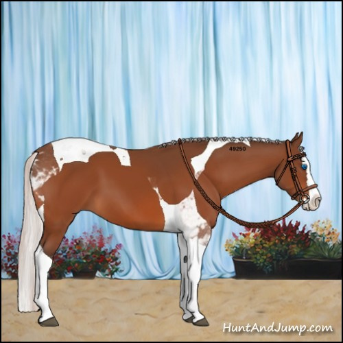 Horse Color:Silver Brown Splash Tobiano 