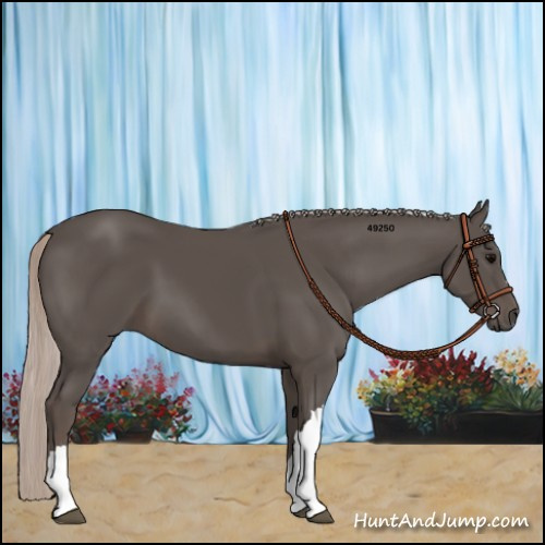 Horse Color:Silver Black 