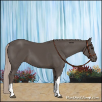 Horse Color:Silver Black 