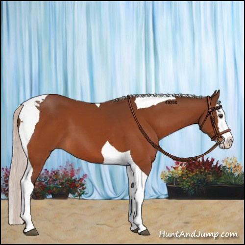 Horse Color:Silver Brown Splash Tobiano 