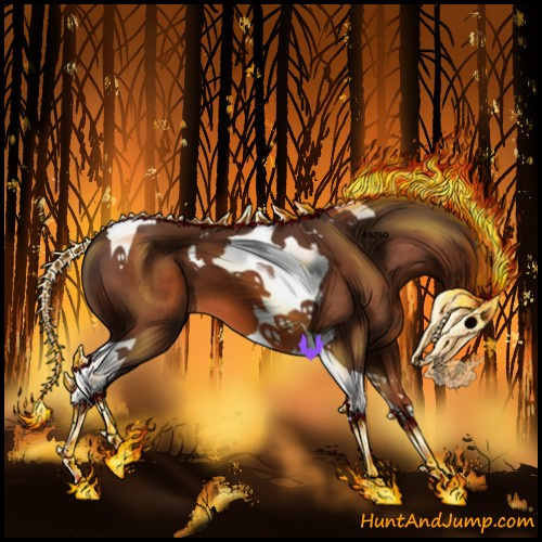 Horse Color:Bay Tobiano 