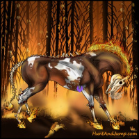 Horse Color:Bay Tobiano 