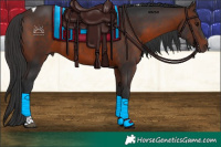 Horse Color:Brown Tobiano Rabicano