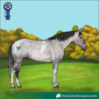 Horse Color:Platinum Brown Roan Dun Tobiano 