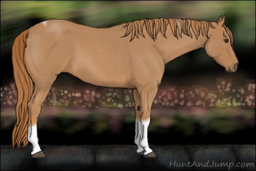 Horse Color:Red Roan Tobiano 