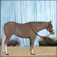 Horse Color:Silver Black 