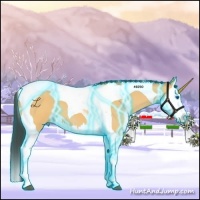 Horse Color:Thunderstruck Buckskin Dun Splash Tobiano 