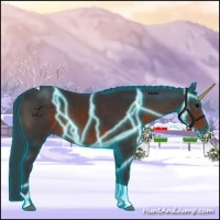 Horse Color:Thunderstruck Brown Tobiano 
