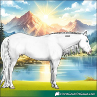 Horse Color:Watercolor Cremello Dun Splash Appaloosa 