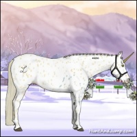 Horse Color:Palomino Dun Appaloosa 
