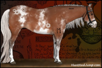 Horse Color:White Spotted Silver Bay 
