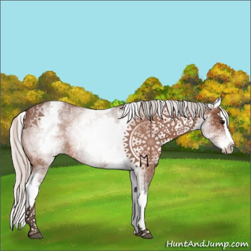 Horse Color:White Spotted Silver Bay Roan Splash 
