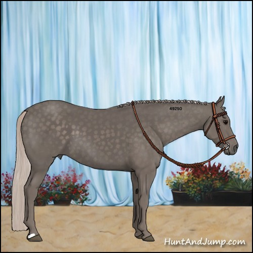 Horse Color:Silver Black 
