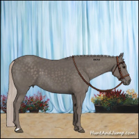 Horse Color:Silver Black 