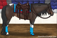 Horse Color:Brown Tobiano 