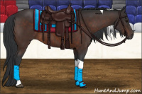 Horse Color:Brown Tobiano 