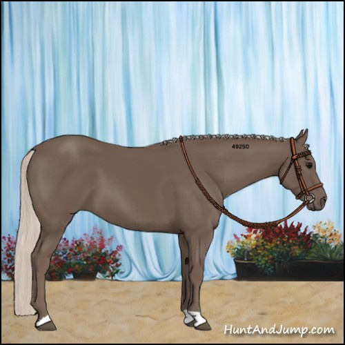 Horse Color:Silver Black 