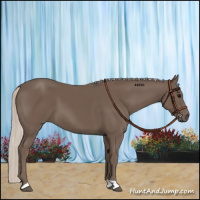 Horse Color:Silver Black 