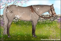 Horse Color:White Spotted Silver Brown Dun 