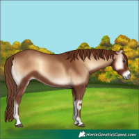 Horse Color:Red Onyx