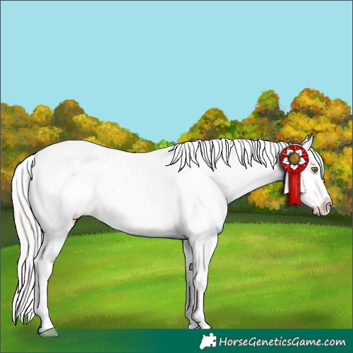 Horse Color:Silver Sable Champagne Blanket