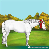 Horse Color:Silver Sable Champagne Blanket 