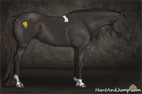 Horse Color:Liver Chestnut Sabino Tobiano 