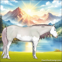 Horse Color:Watercolor Buckskin Pearl Splash 
