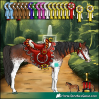 Horse Color:White Spotted Bay