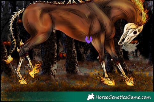 Horse Color:Bay Tobiano 