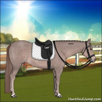 Horse Color:Platinum Chestnut 