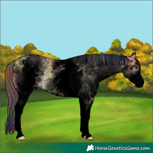 Horse Color:Void Nacre White Spotted Buckskin Dun Rabicano