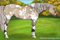 Horse Color:White Spotted Silver Brown Dun 