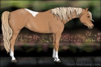 Horse Color:Red Roan Tobiano 