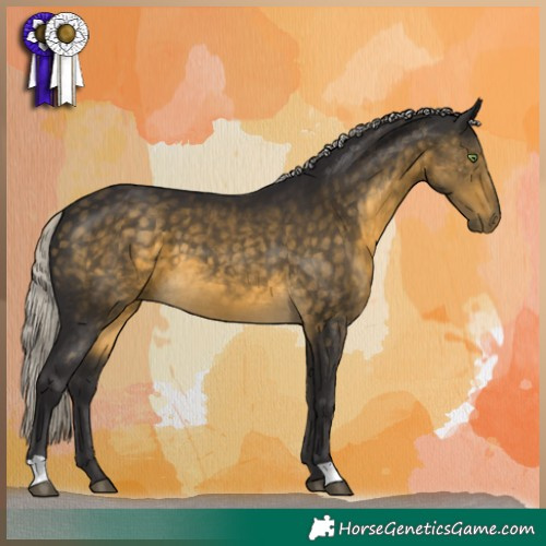 Horse Color:Silver Buckskin 