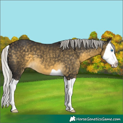 Horse Color:Silver Buckskin Mushroom Splash 