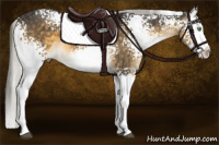 Horse Color:White Spotted Silver Buckskin Dun Splash 