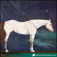 Horse Color:Chocolate Bay Ice Roan Dun
