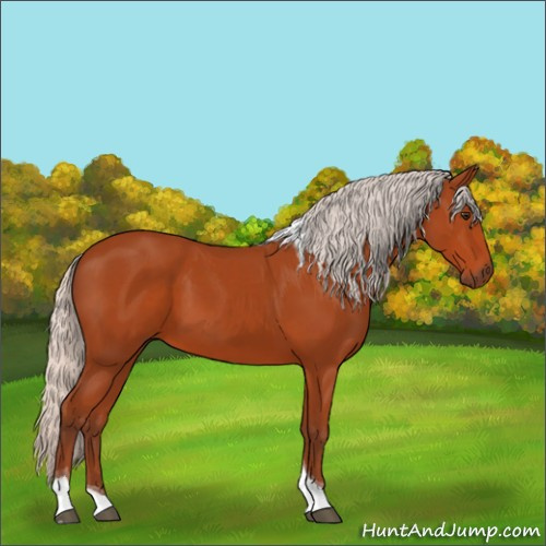 Horse Color:Silver Brown Tobiano 