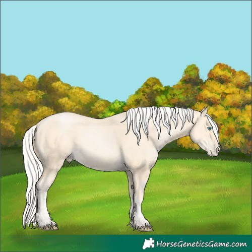 Horse Color:Silver Buckskin Pearl 