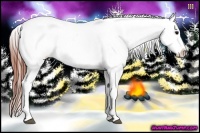 Horse Color:Brown Roan Near Leopard 