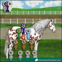 Horse Color:Bay Tobiano Near Leopard 