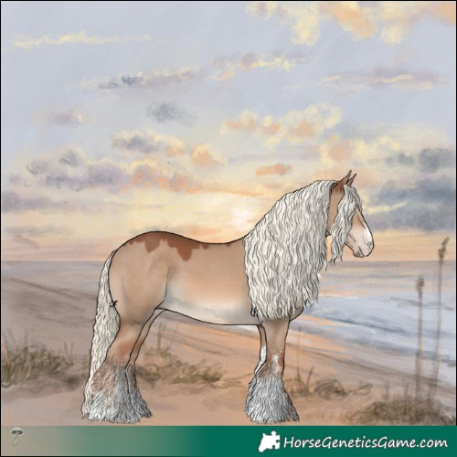 Horse Color:White Spotted Red Dun Mushroom Rabicano