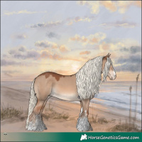 Horse Color:White Spotted Red Dun Mushroom Rabicano 