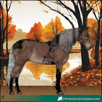 Horse Color:Void Silver Black Tobiano 