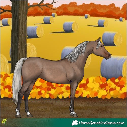 Horse Color:Liver Red Dun Mushroom Rabicano 